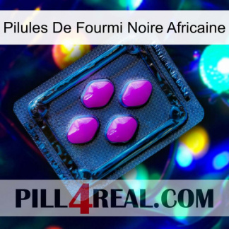 African Black Ant Pills 04